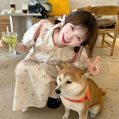 局中人2023